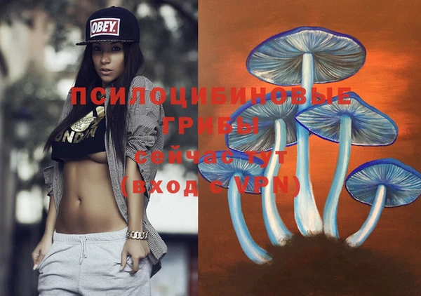 индика Магадан