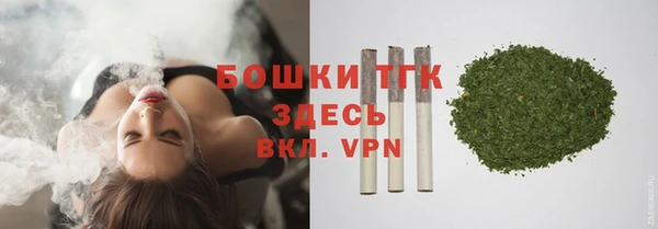 индика Магадан