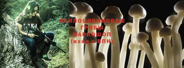 герыч Майский