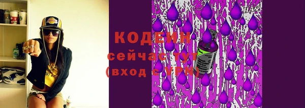 индика Магадан